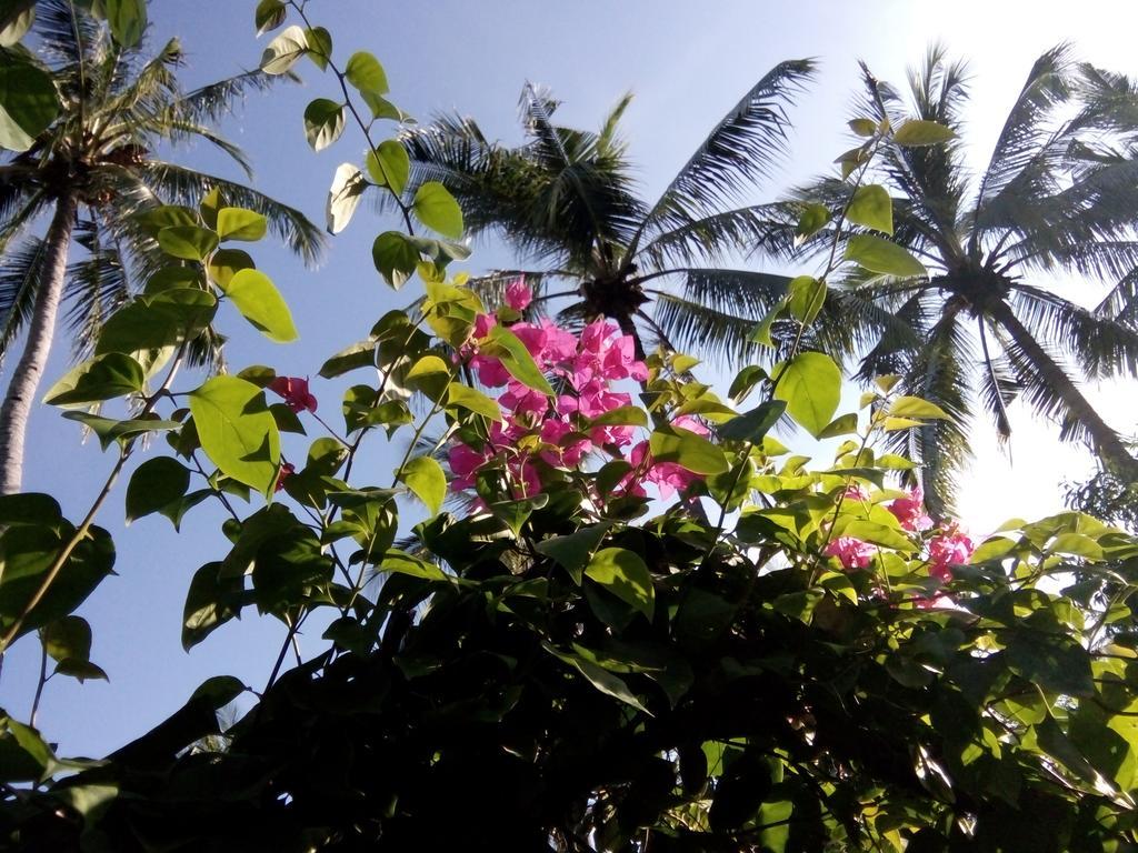 Kebun Kupu Kupu Gili Meno Eco Resort エクステリア 写真